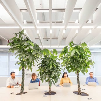 Biophilic Design; Welcome to the Plant Based Workplace